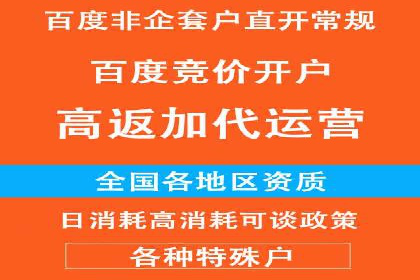 百度推广返点策略：案例解析与优化